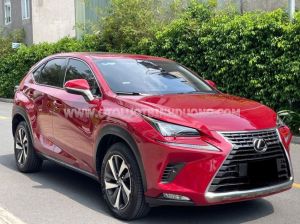 Xe Lexus NX 300 2018