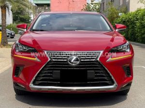 Xe Lexus NX 300 2018