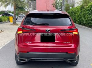 Xe Lexus NX 300 2018