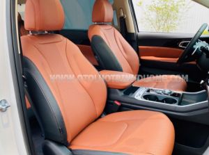 Xe Kia Carnival Signature 2.2D 2024